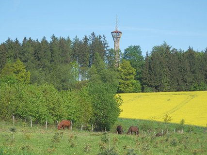 FOTKA - Nov rozhledna pulka