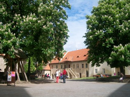 FOTKA - Konen jsem vidla Karltejn