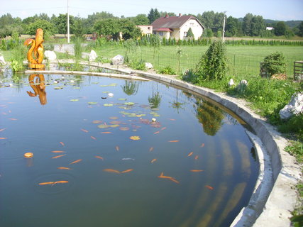 FOTKA - Zahradn jezrko