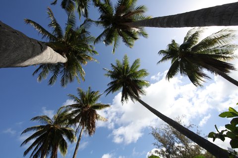 FOTKA - Ostrovy Christiana Karembeua - Mayotte