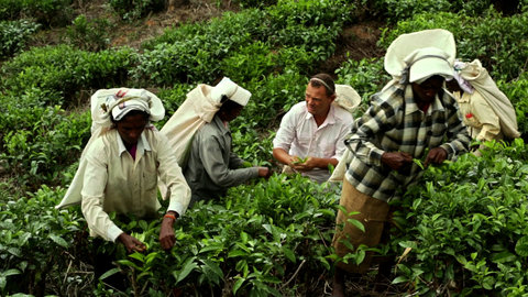 FOTKA - S kuchaem kolem svta - Sr Lanka