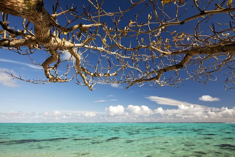 FOTKA - tk na Tahiti a jeho ostrovy