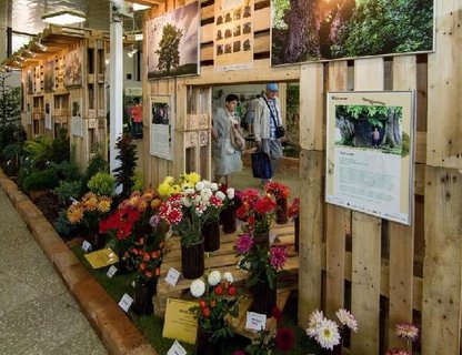 FOTKA - Letn zahradnick Flora Olomouc 2014