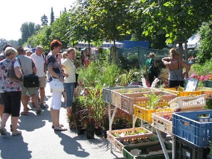 FOTKA - Letn zahradnick Flora Olomouc 2014