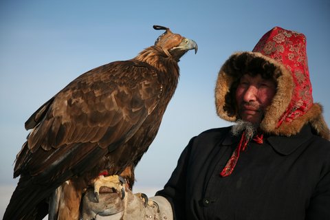 FOTKA - Divok na - Tibet