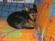 S temperamentnm tntem ku zdrav nebo k trval invalidit?
