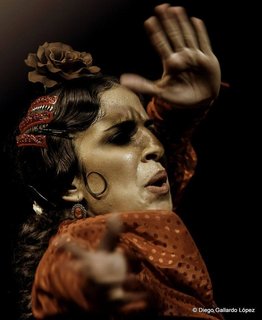 FOTKA - Na festival Ibrica 2014 pijedou hvzdy flamenka