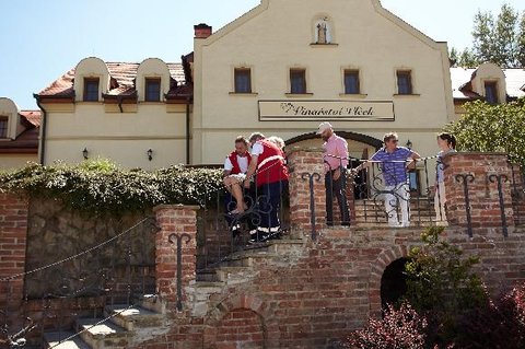 FOTKA - Lucii Beneovou musela z naten Vina odvzt sanitka