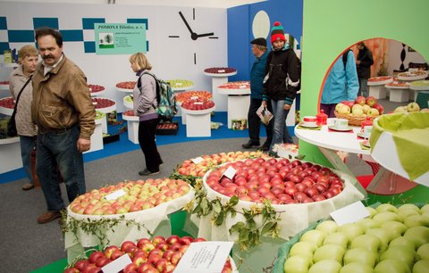 FOTKA - Podzimn Flora Olomouc 2014 chyst lkadla pro mal i velk nvtvnky