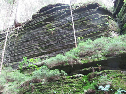FOTKA - eskosask vcarsko