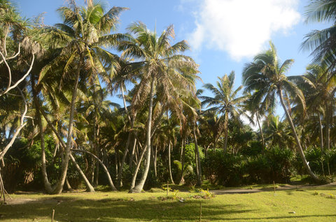 FOTKA - Na cest po Vanuatu