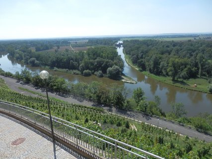 FOTKA - Na kole Polabm  Z Mlnka do Roudnice nad Labem