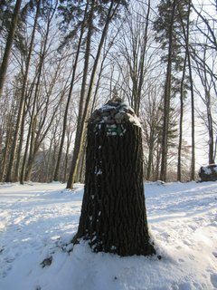 FOTKA - Ronov pod Radhotm