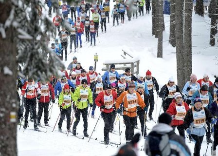 FOTKA - Bhy na lych EZ Jizersk 50 ji tento vkend