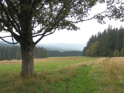 FOTKA - Touln zapomenutou umavou - po stopch skl okolm Husk hory 