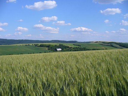 FOTKA - Przdniny na jin Morav