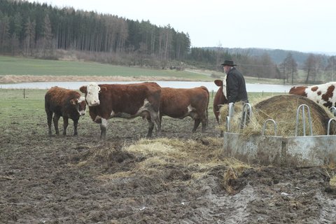 FOTKA - 13. komnata Jana Rumla