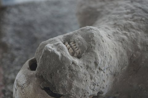 FOTKA - Pompeje - Tajemstv zkamenlch tl