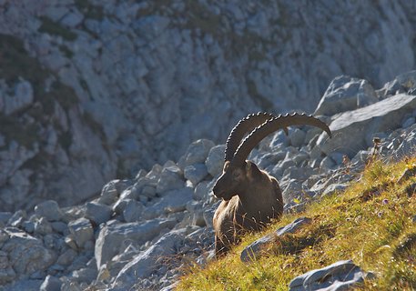 FOTKA - Pbh alpsk eky Inn