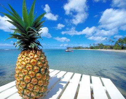 FOTKA - Pouvejte ananas, je chutn a m liv inky