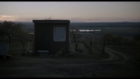 FOTKA - Film Mj pes Killer
