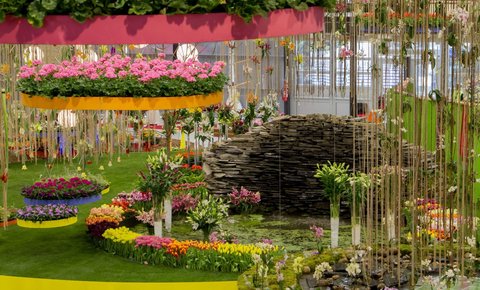FOTKA - Jarn Flora Olomouc 2015 se promn ve Smysl plnou zahradu. Ponote se do n!