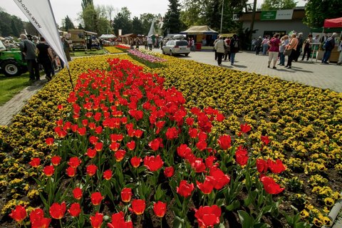 FOTKA - Jarn Flora Olomouc 2015 se promn ve Smysl plnou zahradu. Ponote se do n!