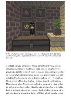 FOTKA - Minecraft prvodce pro rodie