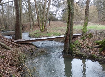 FOTKA - Za hranice velkomsta: kvoreck obora - Krliina