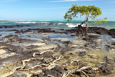 FOTKA - Dobrodruh 9. d�l � 29. 4. 2015