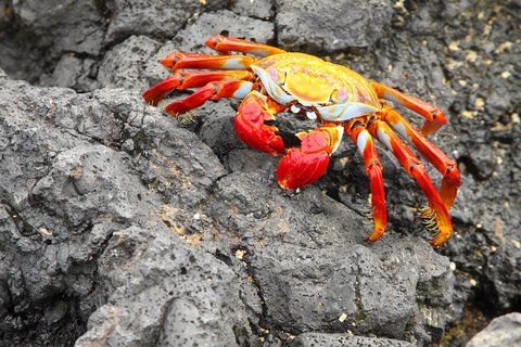 FOTKA - Dobrodruh 9. d�l � 29. 4. 2015