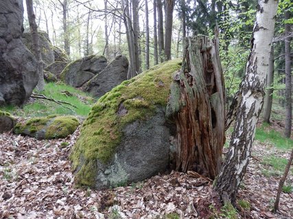 FOTKA - Petrohrad (v echch)