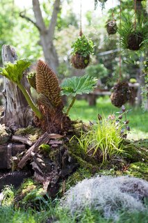 FOTKA - Mezinrodn vstavu bonsaj si v trojsk botanick zahrad mete nov prohldnout i v noci