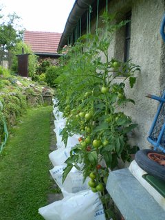 FOTKA - Moje snaen se zahradami