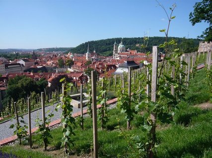 FOTKA - Ve vn...Praha (aneb povdn o praskch vinicch)