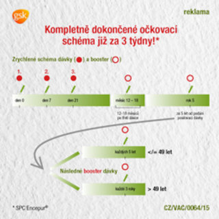 FOTKA - Na kl횝ovou encefalitidu neexistuje specifick lk, je proto teba myslet vas na okovn