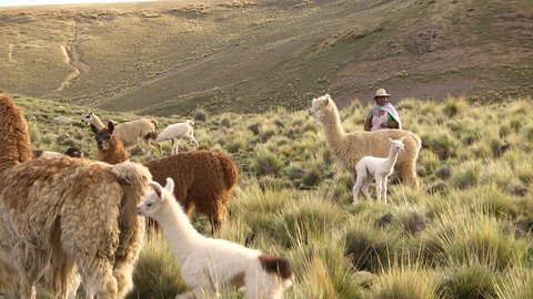 FOTKA - Na cest po Cordillera Real