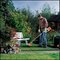 Několik praktických rad pro nádherný letní trávník, který vám budou sousedé závidět