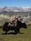 Krlovstv Mustang  2. dl  27. 9. 2015
