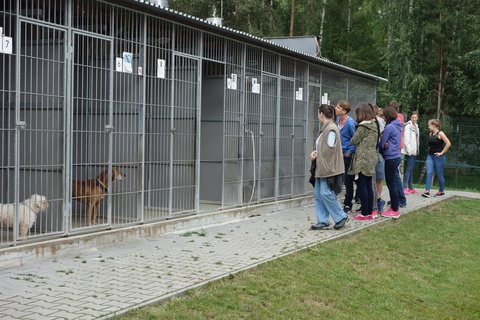 FOTKA - Pejsci v Plzni se raduj z krmiva od tenek portlu Chytr ena