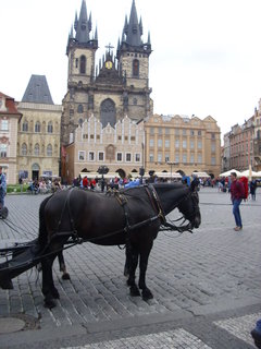 FOTKA - Praha