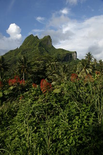 FOTKA - Na cest po Bora Bora