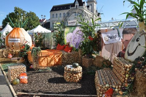 FOTKA - Tradin Cibulov slavnost a relaxace v termlnch lznch Laa