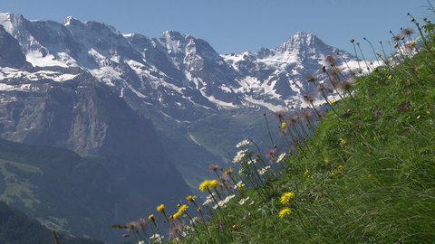 FOTKA - Na cest po Bernskch Alpch