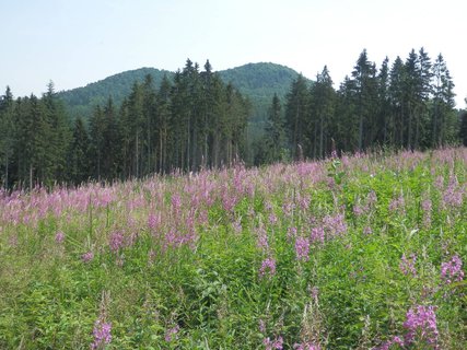 FOTKA - Stezka sovy Rozrky