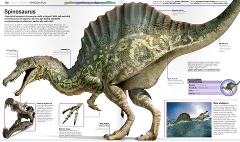 FOTKA - Dinosaui v kostce