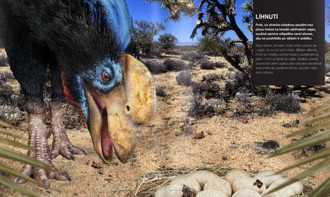 FOTKA - Dinosaui v kostce