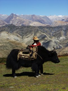 FOTKA - Krlovstv Mustang  2. dl  27. 9. 2015