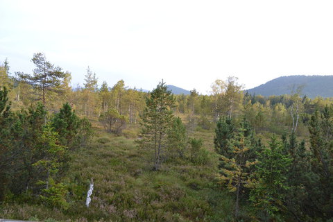 FOTKA - Od zmku pes Boubn ke slatm