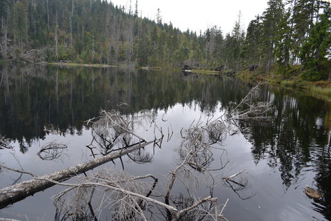 FOTKA - Pes Prilsk jezero k Poledku